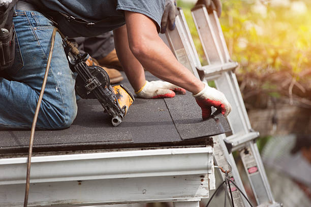Best Roof Gutter Cleaning  in Pioneer, CA